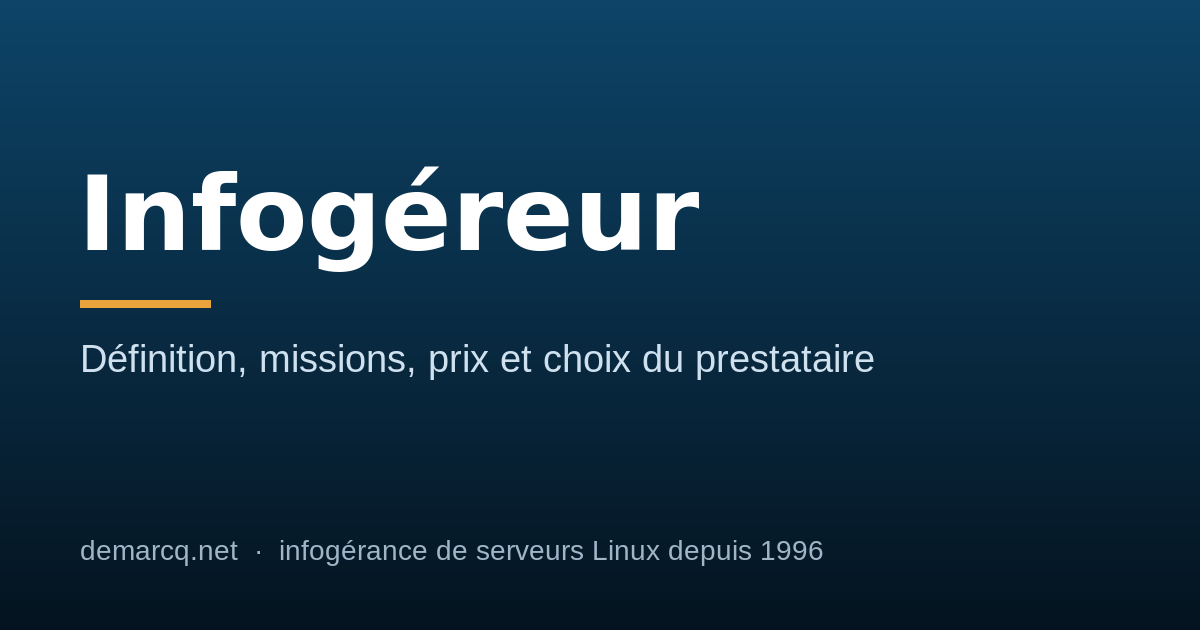 Infogéreur : définition, missions, prix et choix du prestataire